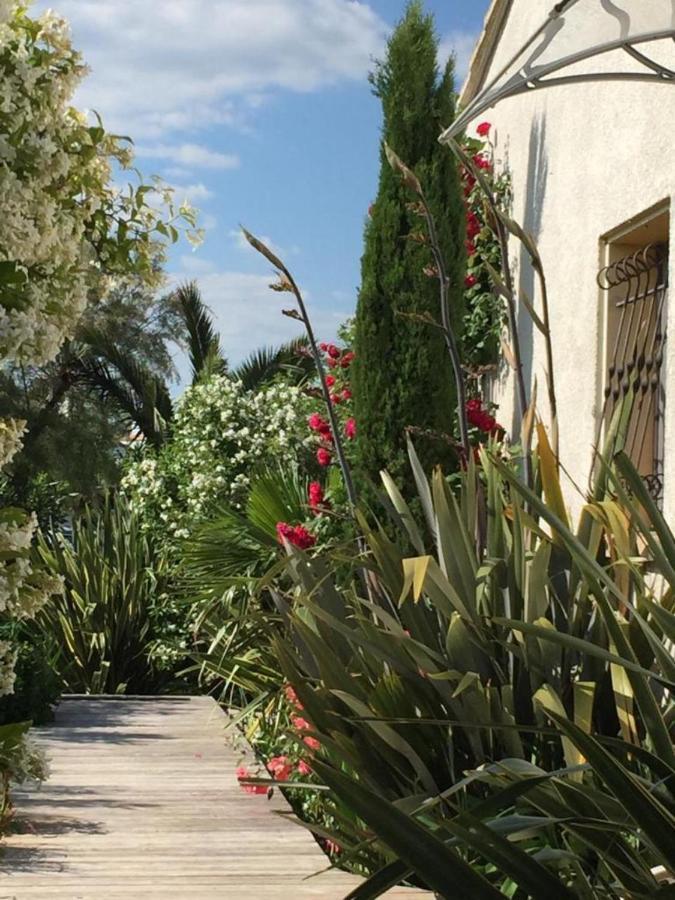 La Villa Vaihere En Camargue, L'Hibiscus Et Le Magnolia Saintes-Maries-de-la-Mer Dış mekan fotoğraf