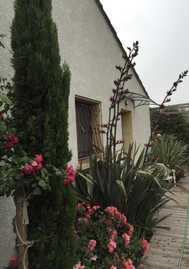La Villa Vaihere En Camargue, L'Hibiscus Et Le Magnolia Saintes-Maries-de-la-Mer Dış mekan fotoğraf