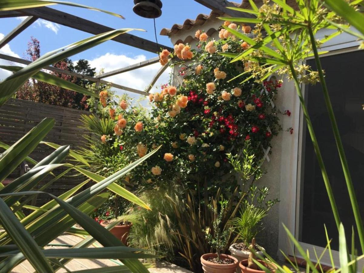 La Villa Vaihere En Camargue, L'Hibiscus Et Le Magnolia Saintes-Maries-de-la-Mer Dış mekan fotoğraf